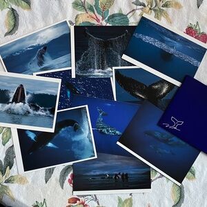 Whale Photography Postcard Set